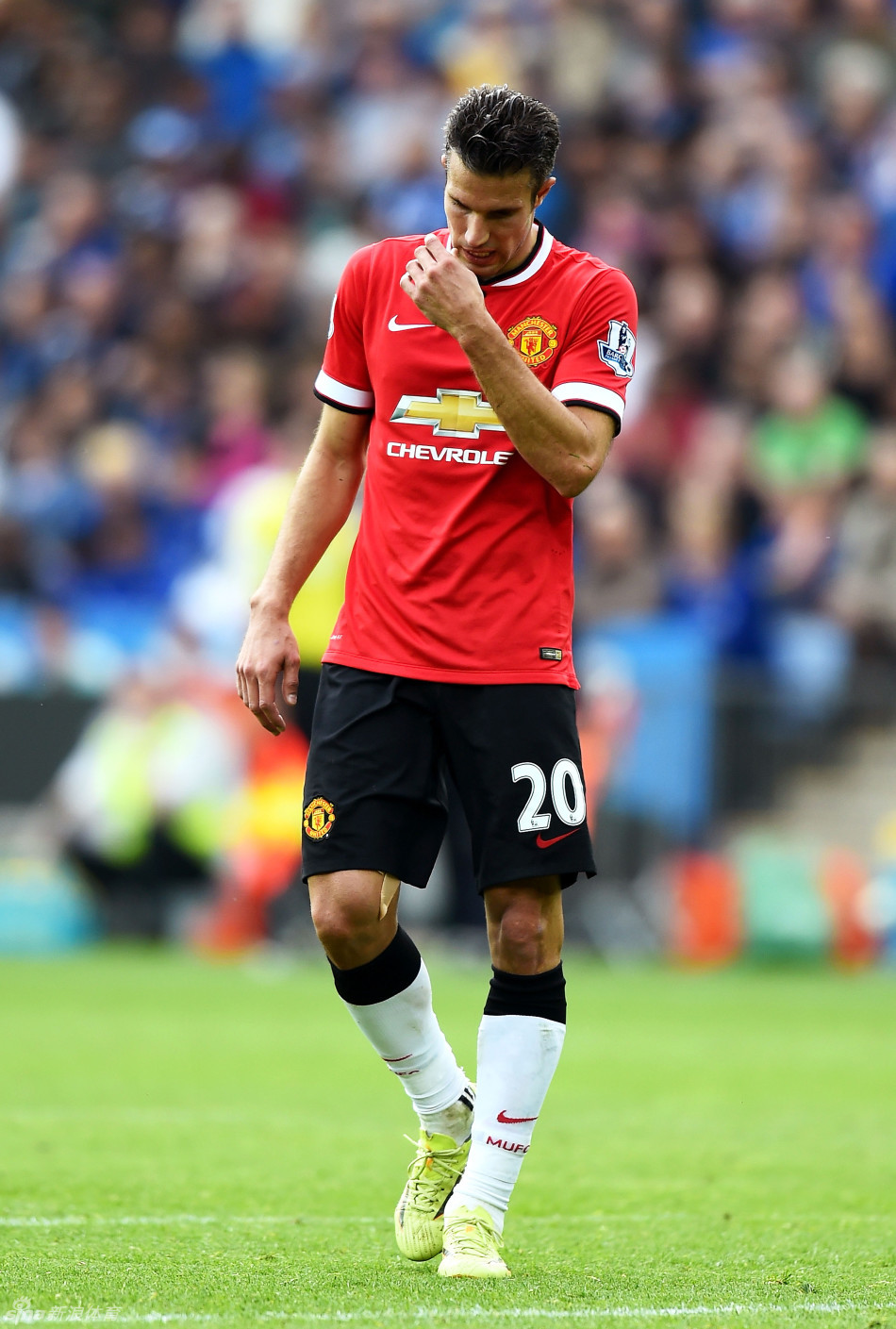 这抗击打能力太恐怖，一耳光下去缕缕胡子啥事儿没有（抗打性爆表：一巴掌过去，胡子纹丝不动）