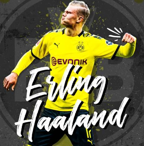 2025年赌博新闻受信任权威